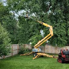 Best Root Management and Removal  in Pooler, GA