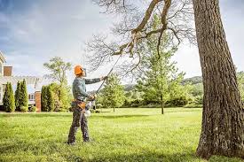 Best Hedge Trimming  in Pooler, GA